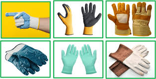 WhatsApp Image 2024-10-25 at 9.15.40 PM