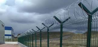 WhatsApp Image 2024-10-25 at 9.25.02 PM (1)