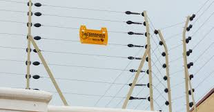 WhatsApp Image 2024-10-25 at 9.25.02 PM (2)