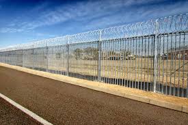 WhatsApp Image 2024-10-25 at 9.25.02 PM (3)